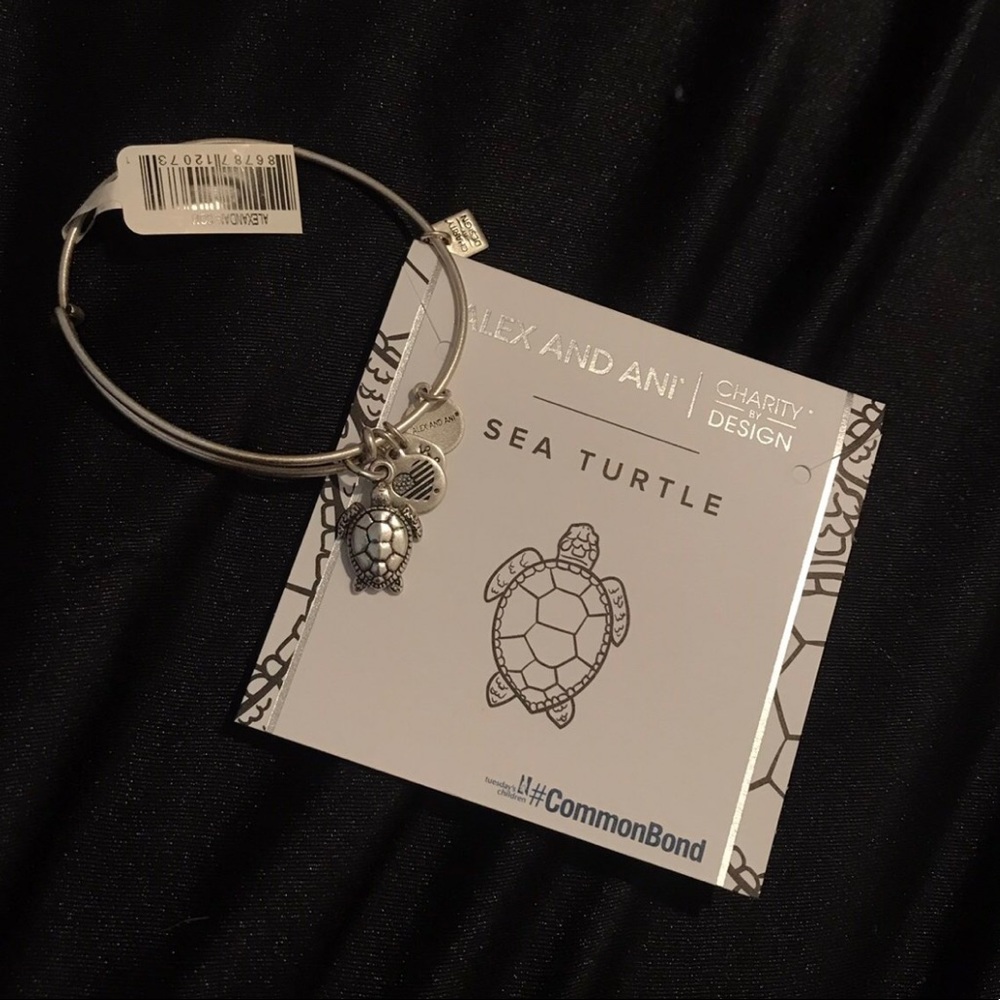 Alex and Ani sea turtle charm bracelet